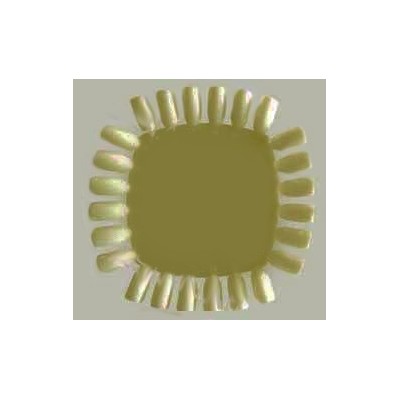 ΔΕΙΓΜΑΤΟΛΟΓΙΟ  ΦΥΣΙΚΟ 24