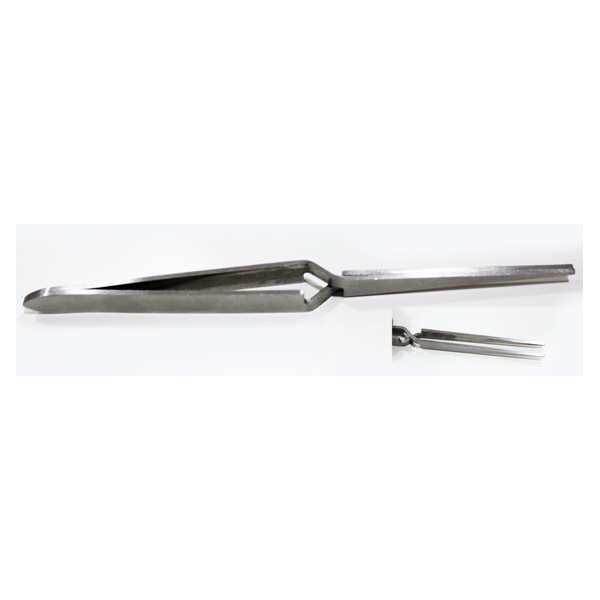 C CURVE TWEEZER